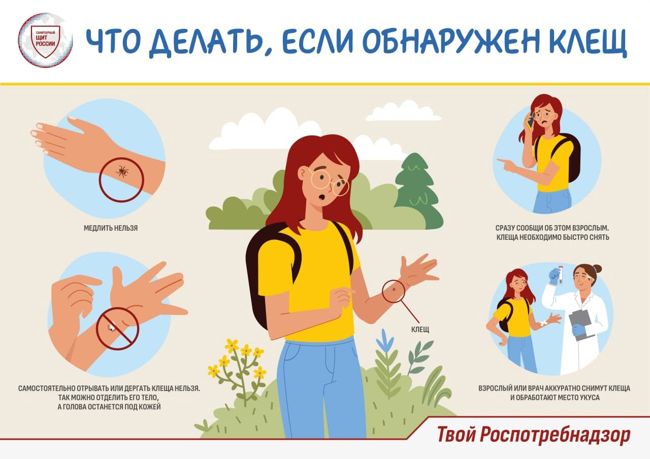 Что делать, если обнаружен клещ.